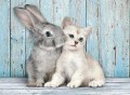 puzzle-500-elementow-clementoni-kot-i-krolik-zajac-401b.jpg