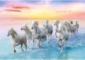 puzzle-500-elementow-trefl-biale-konie-37289-404b.jpg