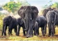 puzzle-1000-elementow-trefl-afrykanskie-slonie-10442-420b.jpg