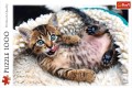 puzzle-1000-elementow-trefl-wesoły-kotek-kot-10448-421c.jpg