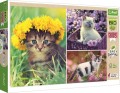 puzzle-1000-elementow-trefl-koty-w-ogrodzie-kotki-kot-eko-91701-422a.jpg