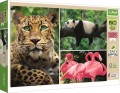 puzzle-1000-elementow-trefl-dzikie zwierzeta-eko-91700-423a.jpg