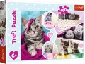 puzzle-trefl-160-elementow-kot-koty-kociaki-15371-455a.jpg