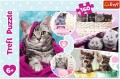 puzzle-trefl-160-elementow-kot-koty-kociaki-15371-455c.jpg