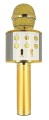 mikrofon-karaoke-z-glosnikiem-bluetooth-forever-540c.jpg