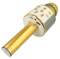 mikrofon-karaoke-z-glosnikiem-bluetooth-forever-540d.jpg