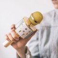 mikrofon-karaoke-z-glosnikiem-bluetooth-forever-540f.jpg