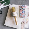 mikrofon-karaoke-z-glosnikiem-bluetooth-forever-540h.jpg