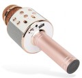 mikrofon-karaoke-z-glosnikiem-bluetooth-forever-542e.jpg
