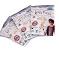 figurka-harry-potter-saszetka-niespodzianka-705b.jpg
