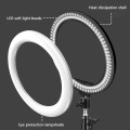 lampa-pierscieniowa-LED-ring-makijaz-statyw-youtube-tiktok-pilot-800c.jpg